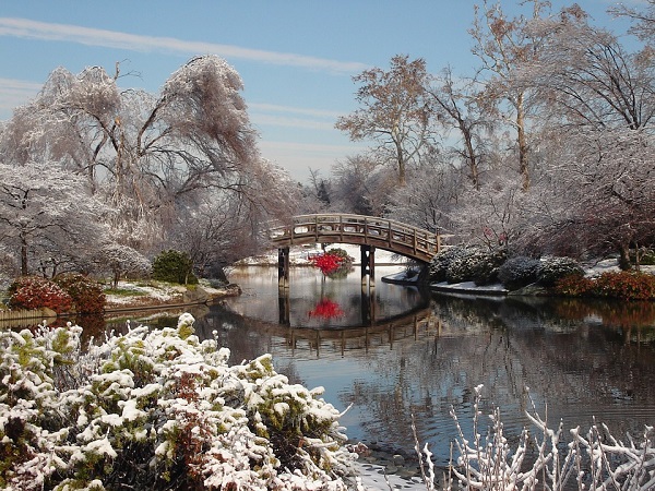 Jardin japonais en hiver