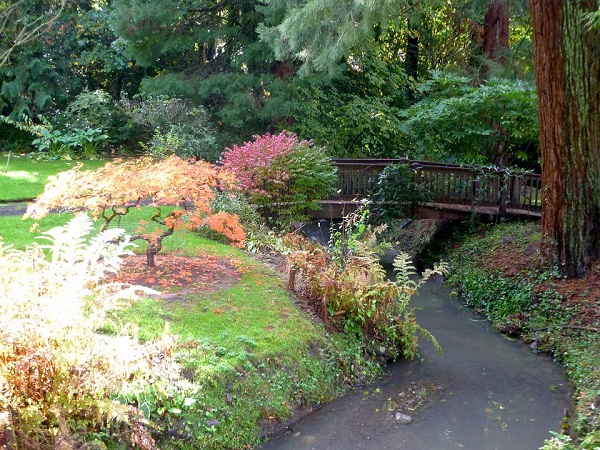 Jardin japonais aux plantes colorées avec une rivière et un pont